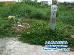 Đất bán hẻm Vườn Điềuu đường số 10 Phường Tân Quy Quận 7, khu dân cư an ninh